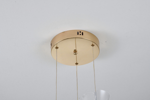 Lámpara colgante de acrílico LED moderna y elegante, luces colgantes populares para decoración del hogar - Product Image 5