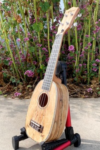 Ukulele Soprano 21 Pollici in Acero Spalted Marca Aiersi, Logo Personalizzato, Chitarra Hawaiana Artigianale, Strumento a Corda - Product Image 3