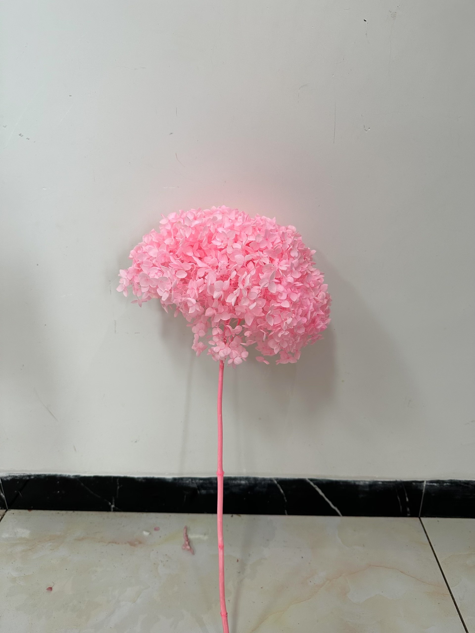 light bright pink