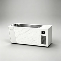 Machine de refroidissement autonome pour baignoire à glace en acrylique pour villa, salle de sport, extérieur