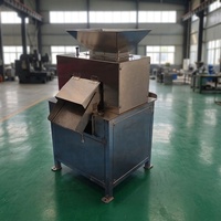 Passievrucht & Citroen Ontpulpings- en Zaadverwijderingsmachine Dubbelrolmotor Sapcentrifuge Industrieel Gebruik Hoge Productiviteit 1500W