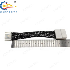 Özel 24 Pin Erkek Dişi Konnektör Araba Ses Sistemi Özel Otomotiv Kablo Demeti Araba Elektronik Modifikasyonları için - Product Image 6