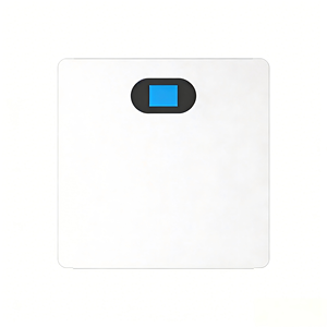 ระบบจัดเก็บพลังงานภายในบ้านแบบติดผนัง 10kWh 51.2V 100Ah LiFePO4  แบบออฟกริด/ไฮบริด พร้อมระบบจัดการแบตเตอรี่อัจฉริยะ (Smart BMS) ป้องกันน้ำและฝุ่นระดับ IP54  แบบออลอินวัน - Product Image 1