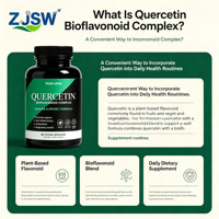 Quercétine Bioflavonoïde Complexe en capsules végétales (60 unités) - Marque privée OEM - Complément alimentaire antioxydant pour soutenir le système immunitaire