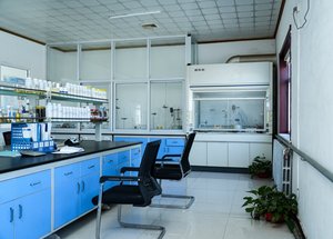 PC-5 xúc tác Polyurethane (pmdeta) cho bọt linh hoạt cứng và chất đàn hồi - Product Image 3