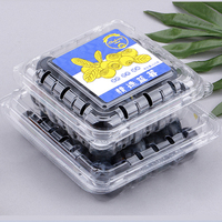 Meilleure boîte d'emballage de myrtilles de fruits jetable et bon marché petite boîte de myrtilles en plastique PET délicate avec couvercle transparent 125g