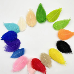 Fiori Conservati Fatti a Mano per San Valentino, Foglie Naturali Scheletrizzate, Vene delle Foglie, Piccola Magnolia per Scrapbooking e Creazione di Biglietti Floreali - Product Image 6