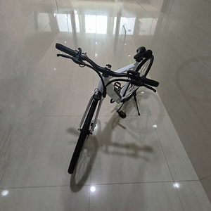 Vélo pliant à batterie, scooter électrique d'occasion d'Allemagne, pas cher, 29 pouces, Bicicleta Electrica, nouveau modèle, prix le plus bas, vélo électrique 48V - Product Image 4