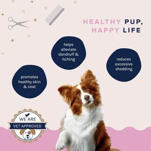 OEM/ODM cilt ve ceket desteği köpekler için yumuşak çiğniyor-Omega 3-6-9 & Biotin formülü, <span class=keywords><strong>Aloe</strong></span> <span class=keywords><strong>Vera</strong></span> ile kaşıntı kabartma ve dökülme kontrolü - Product Image 3