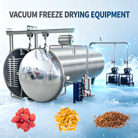 OEM Hoge Capaciteit Laag Energieverbruik 304 RVS Fruit Vacuümvriesdroogmachine voor Citroen Koffie