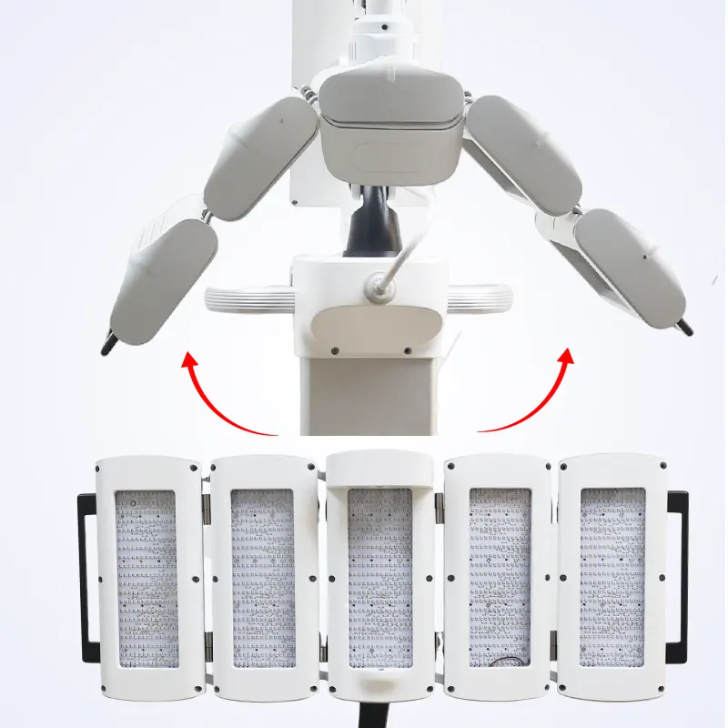 डायसोल रेड लाइट थेरेपी त्वचा देखभाल बाल पुनर्विकास फोटो डायनेमिक थेरेपी सौंदर्य उपकरण पीडीटी मशीन