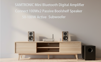 Amplificateur Samtronic TPA3116, amplificateur audio stéréo classe D sans fil, amplificateur de puissance Hifi 200W, enceintes passives, télécommande