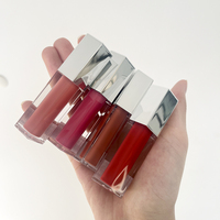 Rouge à Lèvres Liquide Vegan Hydratant Longue Tenue 24h Haute Pigmentation Marque Blanche Non Transférable