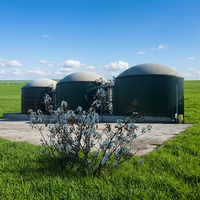 Solution intégrée de centrale biogaz pour la digestion anaérobie des déchets organiques de fumier d'élevage avec réservoir GFS