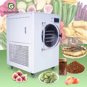 Liofilizador Científico Doméstico con <span class=keywords><strong>Bomba</strong></span> Sin Aceite para Secado Instantáneo <span class=keywords><strong>de</strong></span> Café - Product Image 1