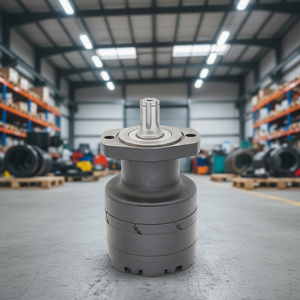 Mandrino Idraulico Blince <span class=keywords><strong>BRE</strong></span> BME, Motore Idraulico Orbitale, Motore con Guarnizione, Motore Idraulico HMR per Verricello e Stampi - Product Image 1