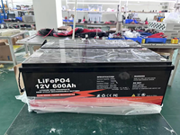 Batterie Lifepo4 12v 24v 48v 100ah 200ah 300ah 400ah 600ah avec BMS et contrôle par application, pour système solaire domestique, stock UE Ukraine