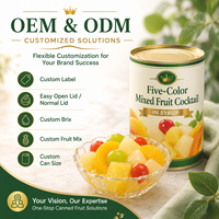 Tropische Fruitcocktail Gebakken 850g BRC Klaar om te eten Fruitdessert voor supermarkt detailhandel groothandel export levering