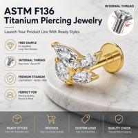 Labret en Titane F136 Doré, Diverses Boucles d'Oreilles Tendance à Dos Plat, Piercing Lèvre, Tragus, Hélix, Daith, Lobe, Zircon, Bijou Corporel, Cadeau