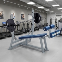 Équipement de musculation professionnel : Banc de musculation réglable multi-positions pour pectoraux et bras, à charge libre, inclinable