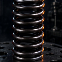 Ressort de soupape de moteur haute performance, résistant à la chaleur et à l'usure, en acier au chrome-silicium nitrué