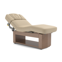 Table de massage Alexander-Basic avec chauffage et éclairage LED en option, base en bois, pour soins du visage, tatouage, SPA, salon de beauté