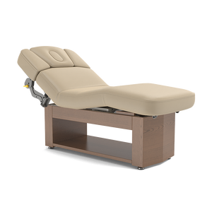 Camilla de masaje <span class=keywords><strong>Alexander</strong></span>-Basic con calefacción y luz LED opcional, base de madera, silla facial, para tatuajes, SPA, salón de belleza, mesa de tratamiento. - Product Image 4