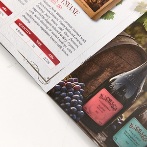 Servizio Professionale di Stampa Digitale Personalizzata su Carta Ecologica per Mini Opuscoli, Cataloghi e Brochure Colorati con Stampa UV - Product Image 3