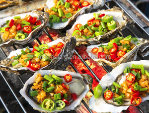 Parrilla de Carbón Plegable para Exteriores con Control Remoto, Portátil y Ecológica para Acampar y Hacer Barbacoas - Product Image 4