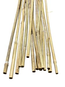 Vietnam Wholesale Bamboo Plant <b>Support</b> Sticks Small Diameter Bamboo Stakes Manufacturer Dried Bamboo <b>Tomato</b> Stakes - Product Image 3