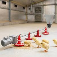 Système d'alimentation automatique pour poulets de chair en gros, équipement d'élevage avicole au sol