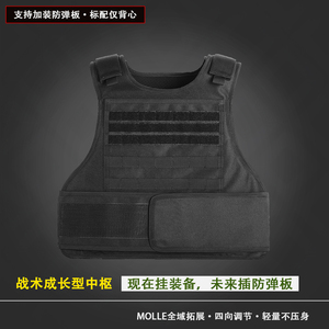Veilige, op maat gemaakte, verstelbare, verborgen, steekwerende tactische Molle <span class=keywords><strong>vest</strong></span>-plaatdrager voor mannen - Product Image 3