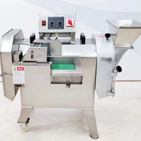 Coupe-légumes et fruits multifonction électrique motorisé en acier inoxydable, trancheuse, hachoir, broyeur, taille réglable, 220V 1.5KW