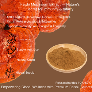 Extrato Orgânico de <span class=keywords><strong>Ganoderma</strong></span> <span class=keywords><strong>Lucidum</strong></span> Certificado pela USDA e UE, Polissacarídeos 10%-50%, Pó de Cogumelo Reishi - Product Image 4