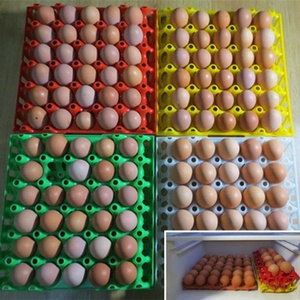 بالجملة صينية بيض الدجاج البلاستيكية عالية الجودة 30 حفرة صينية نقل بلاستيكية لبيض الدجاج الموردين - Product Image 3