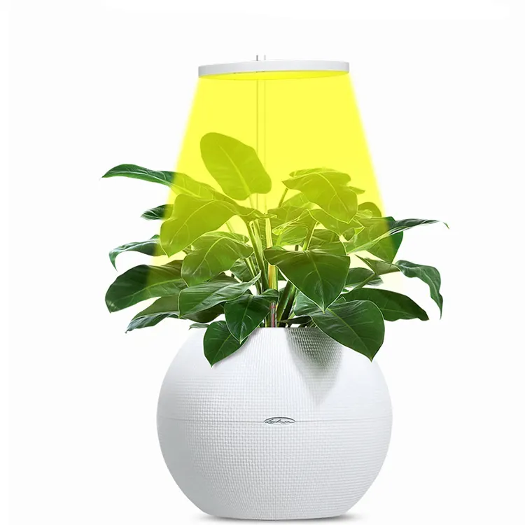 Indoor Planten Groeien Licht 5V Usb Led Volledige Spectrum Angel Ring Planten Groeien Lamp Met Timer