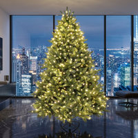 Hochwertiger Umweltfreundlicher Künstlicher Weihnachtsbaum LED-Dekoration Großer PE-Außen-Weihnachtsbaum für Feierlichkeiten