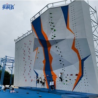 Paneles Modulares de Pared de Escalada en Roca para Interiores y Exteriores, Preperforados, con Revestimiento de Poliéster Reforzado con Fibra de Vidrio, en Venta