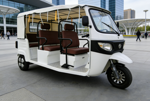 OEM ODM Factory TukTuk Open Body 6 Seats India Taxi Tricycle E <strong>trike</strong> Best Price EEC - Product Image 4