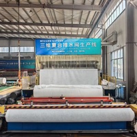 Filet de drainage géocomposite tridimensionnel en HDPE avec géotextile non tissé pour la protection des pentes