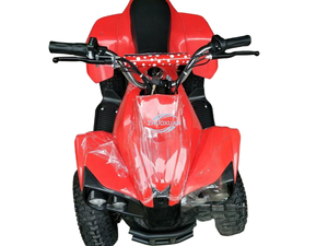 Mini ATV de 49cc Modelo 008, Buggy Todoterreno Pequeño de Cuatro Ruedas Diseñado para Conducción en Todo Tipo de Terreno y Viajes a la Playa - Product Image 2