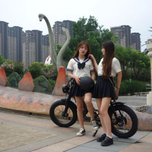 Lvco-sillín de asiento clon de horquilla de suspensión, piezas <span class=keywords><strong>Rx</strong></span> de bicicleta eléctrica de 20 pulgadas, Z1 73, almacén de la UE, novedad - Product Image 6