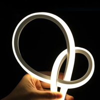Luces de Neón, Tira de Luces LED de 12 V, Tira de LED de Silicona de un Solo Color, Tira de Luces LED de Neón para Exteriores, Impermeable