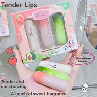 Gloss à lèvres blanc longue tenue de haute qualité, masque à lèvres à la fraise, kit de soin des lèvres hydratant et anti-gerçures, coffrets cadeaux de maquillage