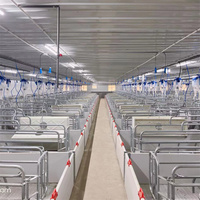 Cage de maternité pour porcs de qualité supérieure, galvanisée à chaud, pour élevage porcin