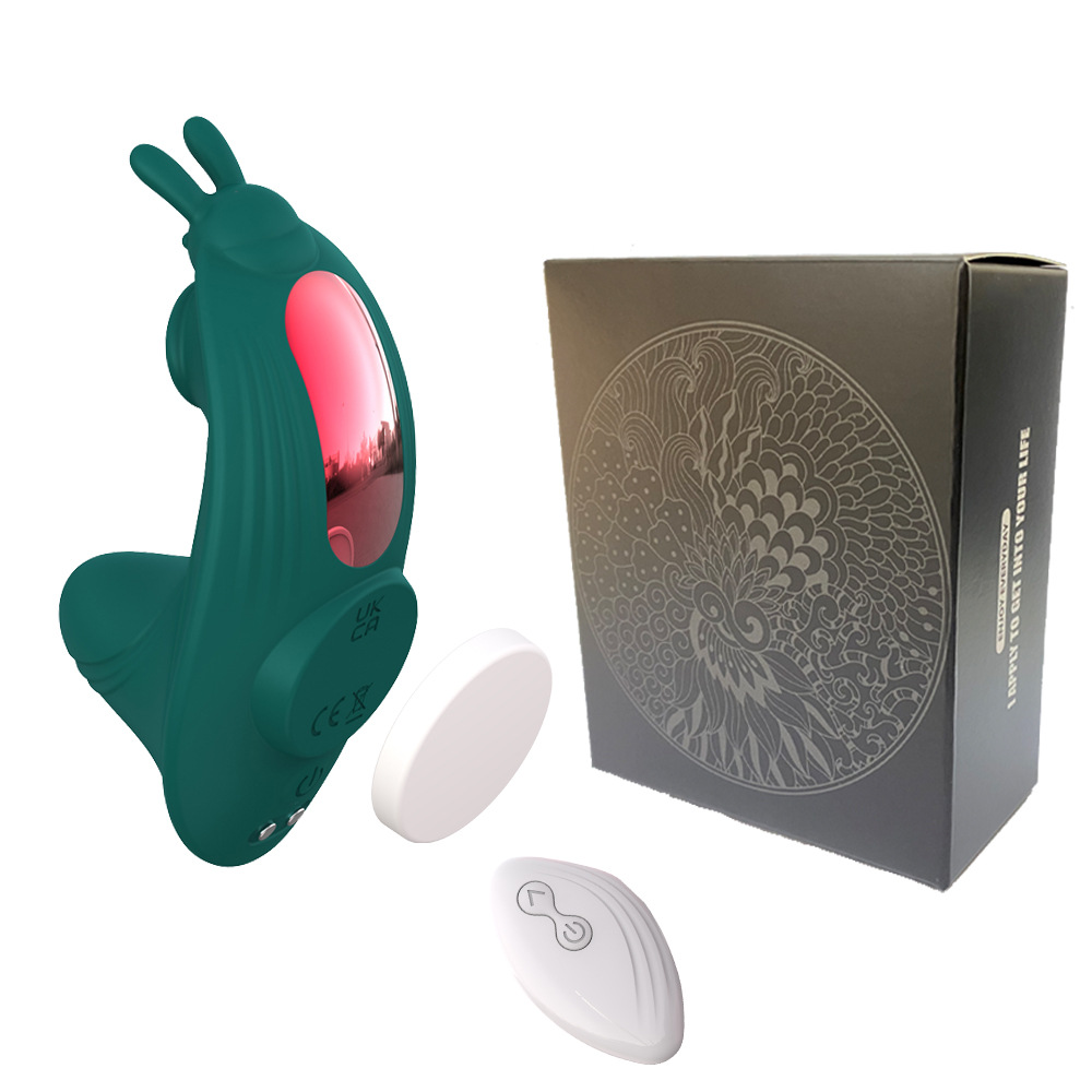 รีโมทคอนโทรล รุ่น สีเขียว