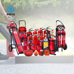 الجملة طفاية حريق زجاجة ، مادة ممتازة Dcp بودرة طفاية الحريق طفاية حريق - Product Image 3