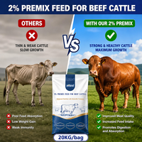 Premix 2% untuk Sapi - Suplemen Pakan Vitamin & Mineral untuk Pertumbuhan & Kesehatan Unggul, Formulasi Kustom OEM