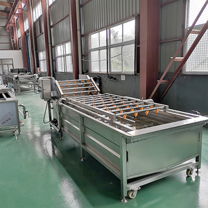 Automatische multifunctionele fruit- en groentewasmachine met motor en pomp voor de reiniging van noten/maïs in groenteverwerkingsbedrijven - Product Image 2