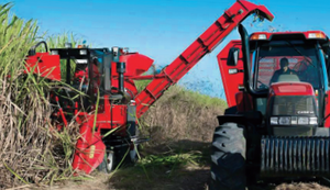 Cadenas de maquinaria agrícola para cosechadoras de caña de azúcar a la venta - Product Image 2
